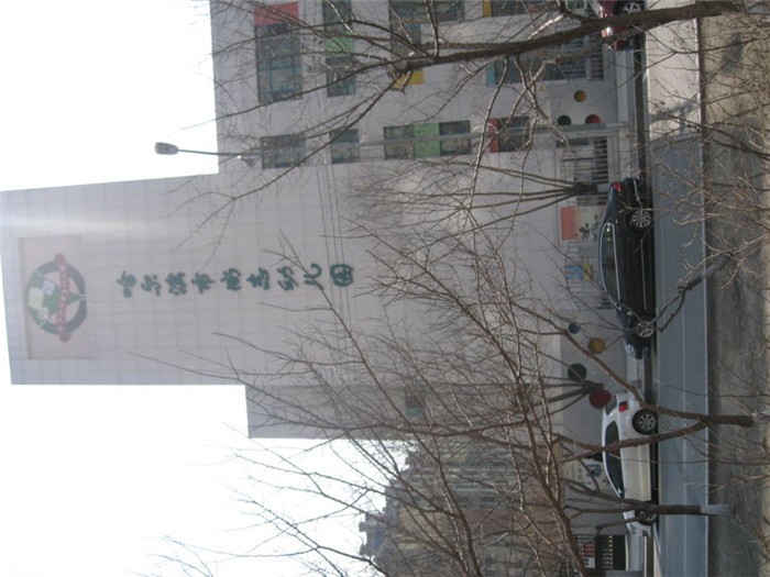 图片1